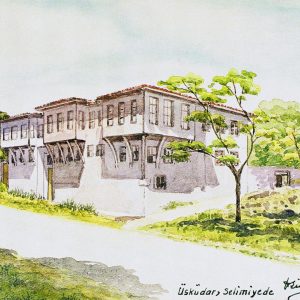Müzecilik ve arşivcilik
