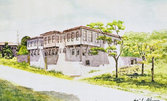 Müzecilik ve arşivcilik